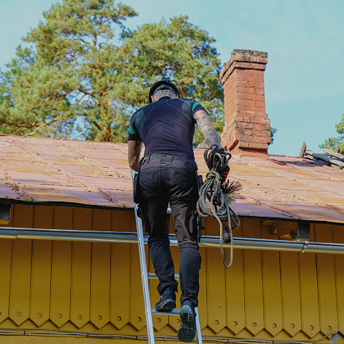 chimney inspections